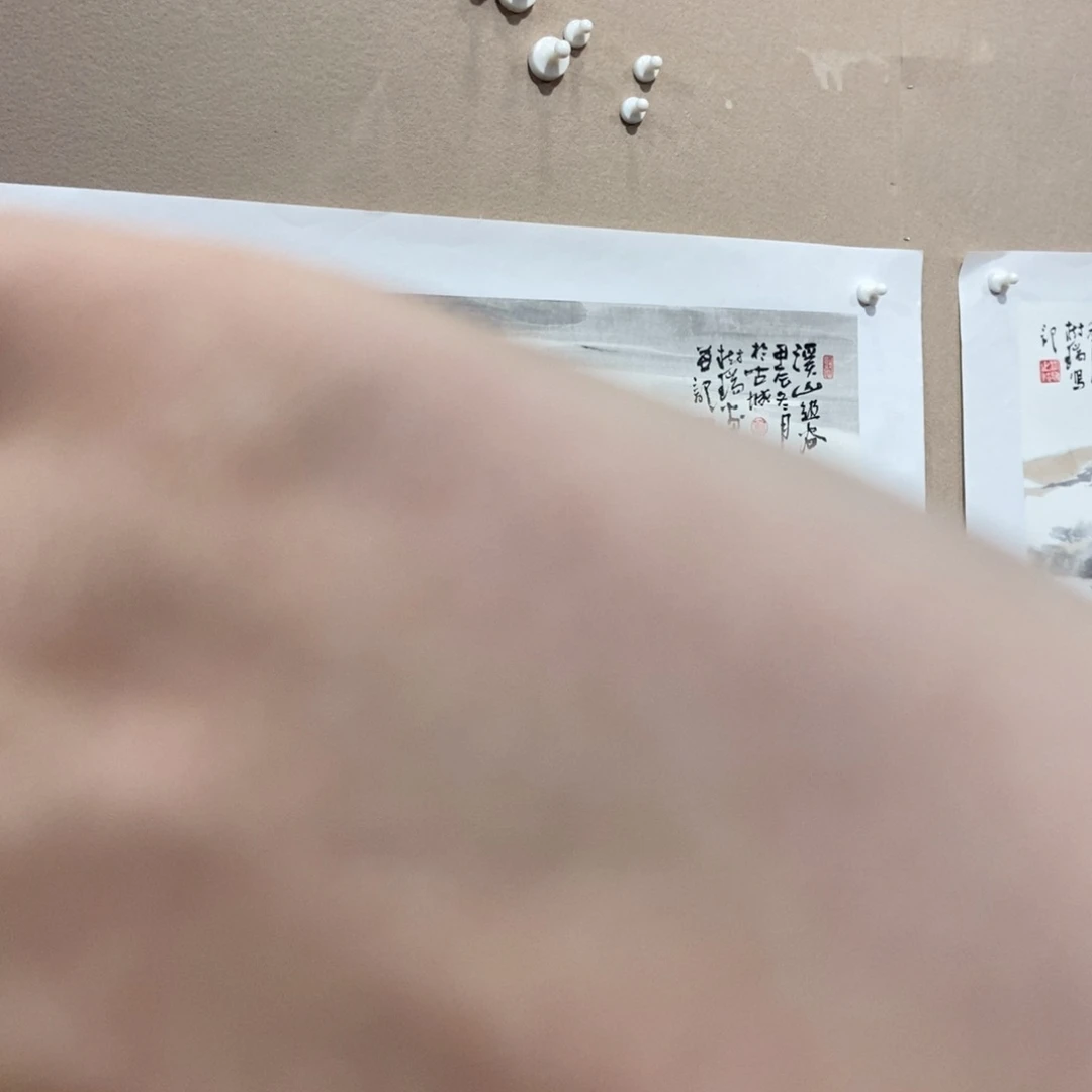 【闪购商品】国画牛*生墨鱼精品墨鱼精品