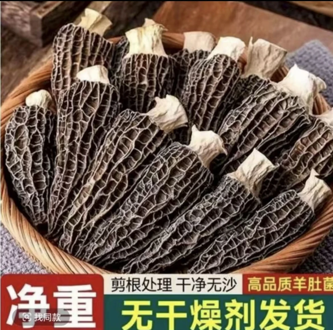 （5-8cm)高山羊肚菌  煲汤优选  老乡山货  鲜味十足