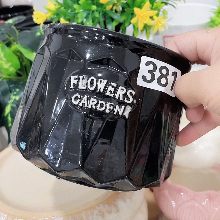 花盆花盆花盆花盆花盆花盆花盆