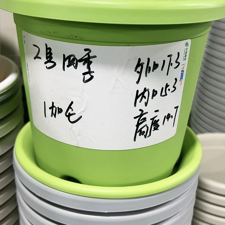 特价2号口17高14.7白色10只无托