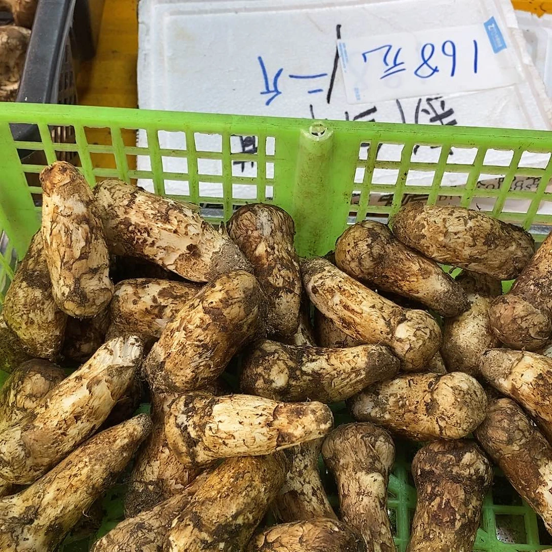 福利款中国大陆280