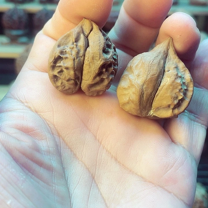 把件文玩核桃小生命，2个