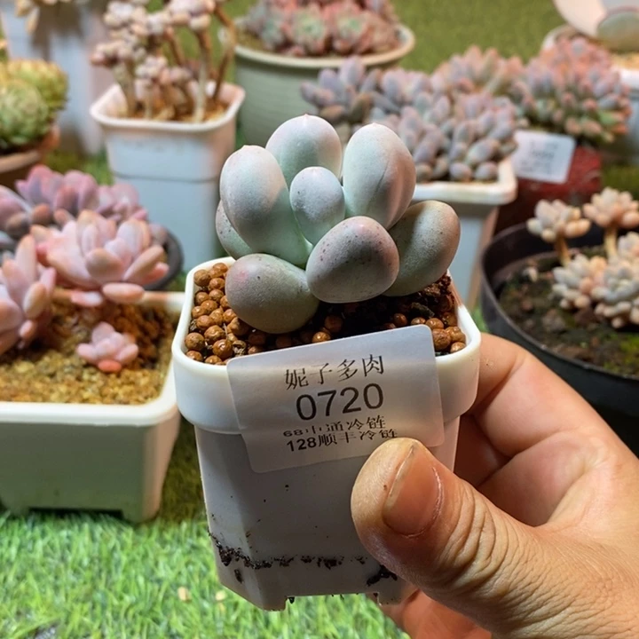 0720啊啊啊啊啊啊啊啊啊