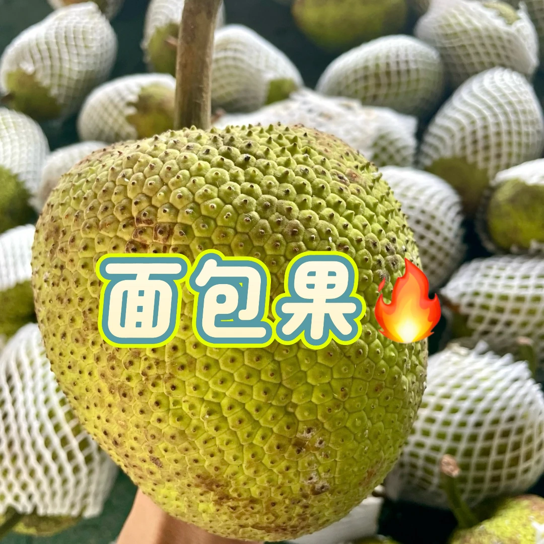 你在找的果在这里