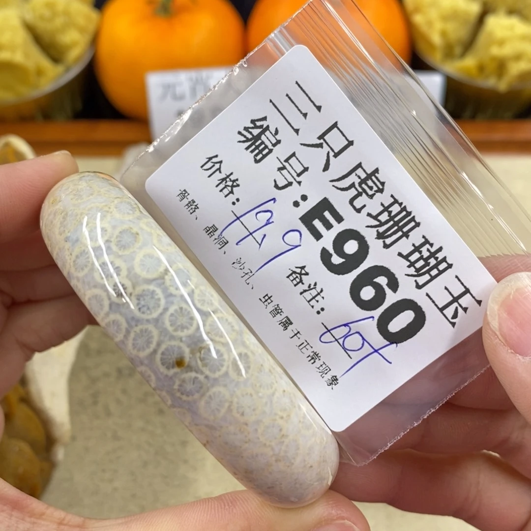 硅化珊瑚（珊瑚玉）1未镶嵌芯*