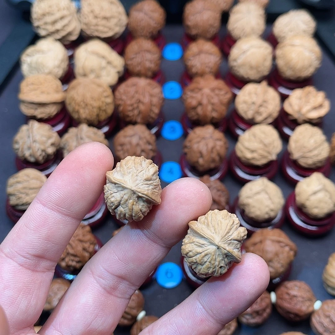 把件文玩核桃嵩山小金蝉