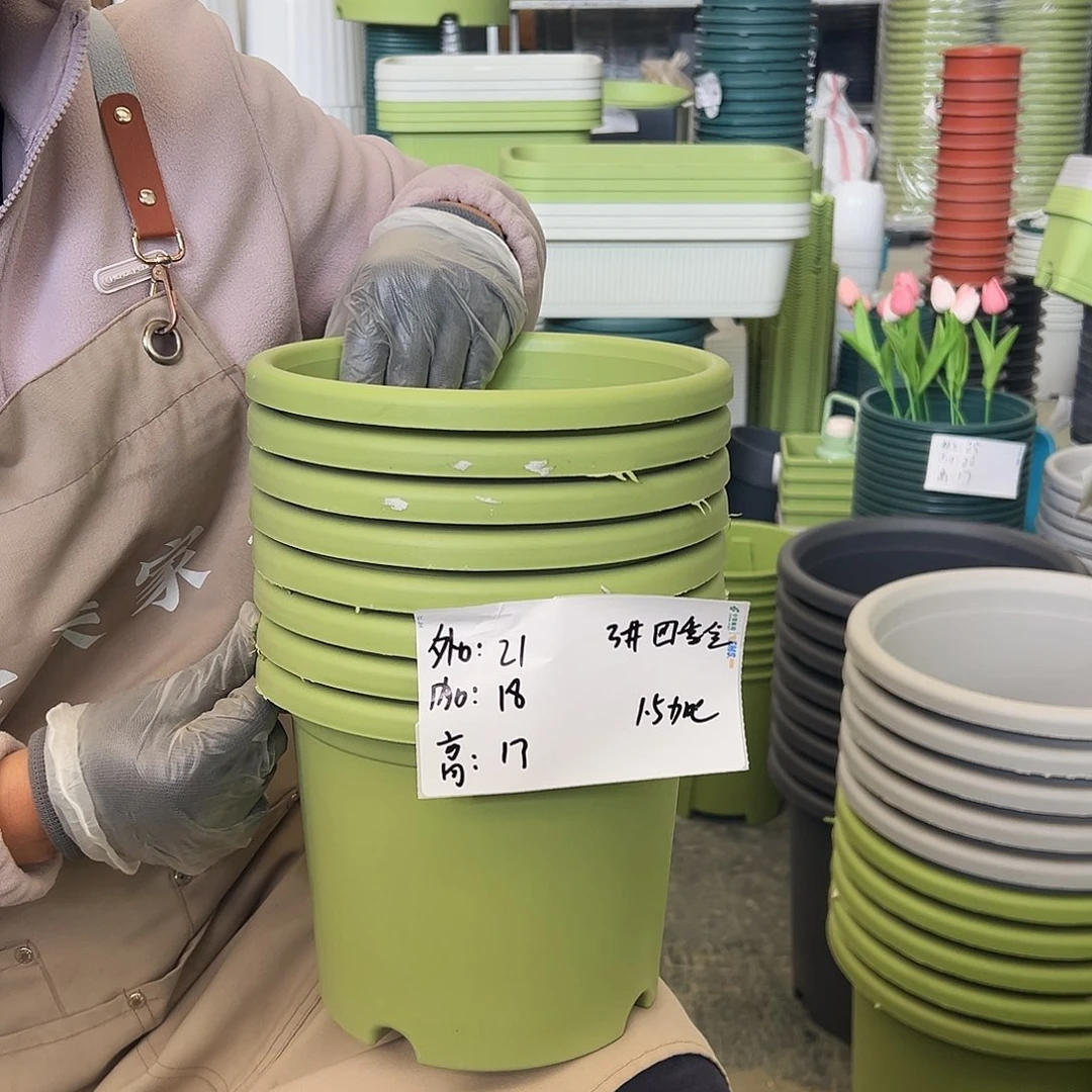 四季盆3#果绿色10个无托
