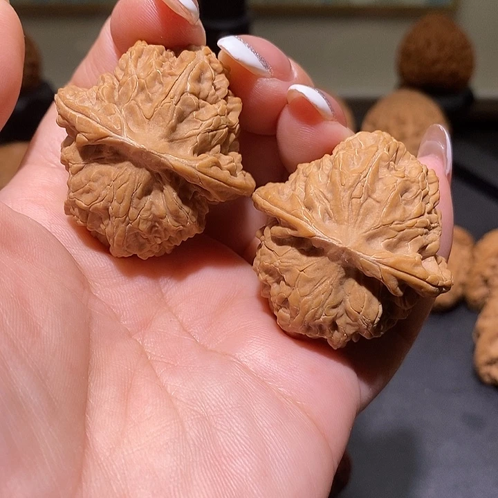 把件文玩核桃39原树渔阳公子