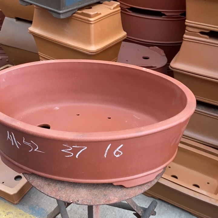 紫砂花盆只顾看电视剧