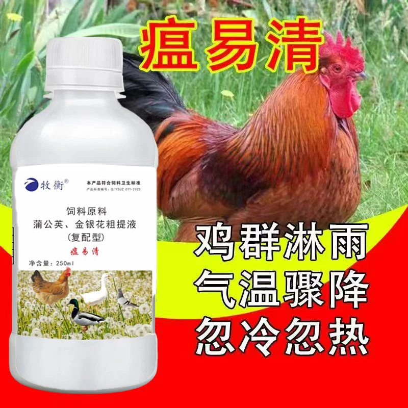 瘟易清饲料添加剂鸡感冒呆立不动增强清凉散养户厂家直销产品