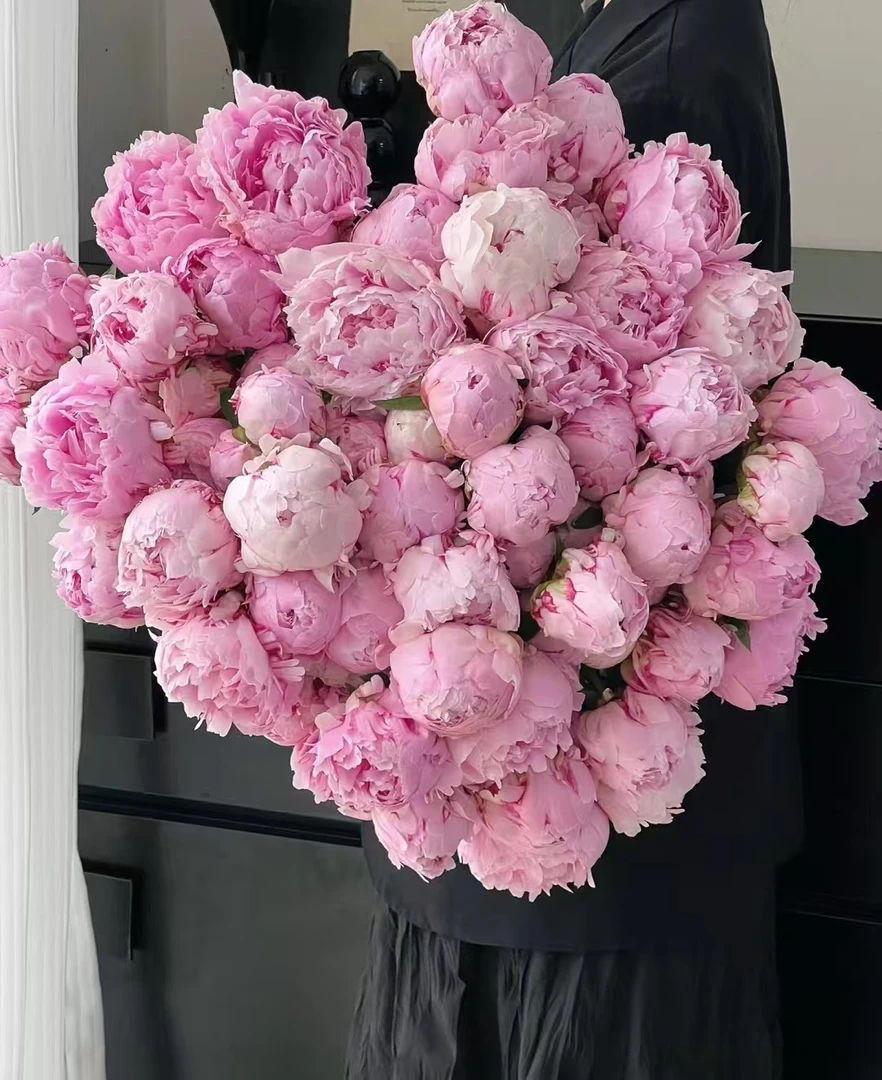[粉白组合]高山芍药鲜切花   甘肃基地直发