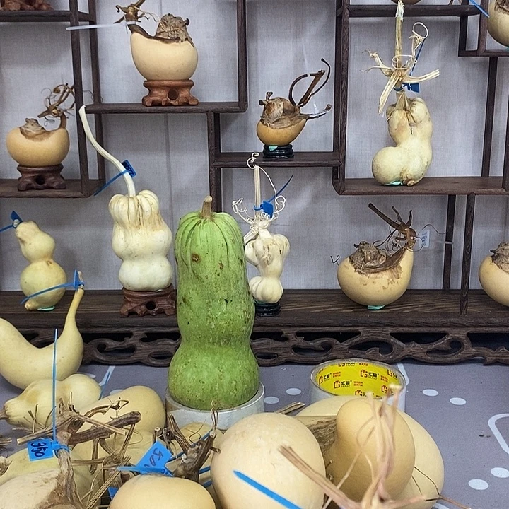 龙*腰子葫芦220一个高品