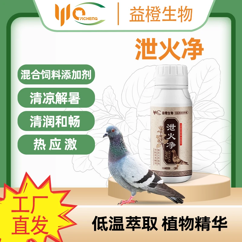 益橙生物泄火净鸽子赛鸽种鸽鸽子热应激禽类
