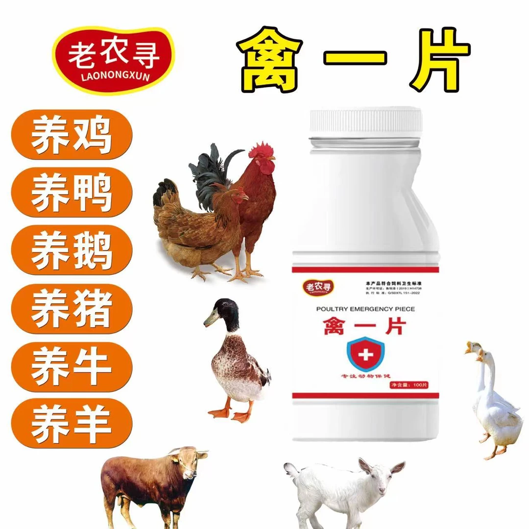 A禽一片鸡鸭鹅鹌鹑鸽子家禽常备