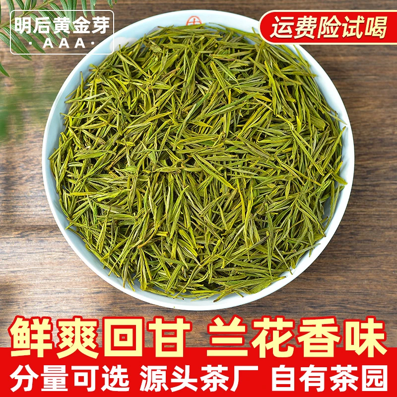 2024新茶『B412明后兰花香黄金芽』鲜爽回甘 香浓耐泡 春茶 袋装
