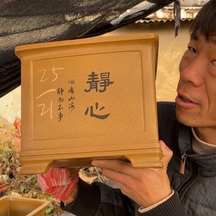 花盆紫砂紫砂特价包邮