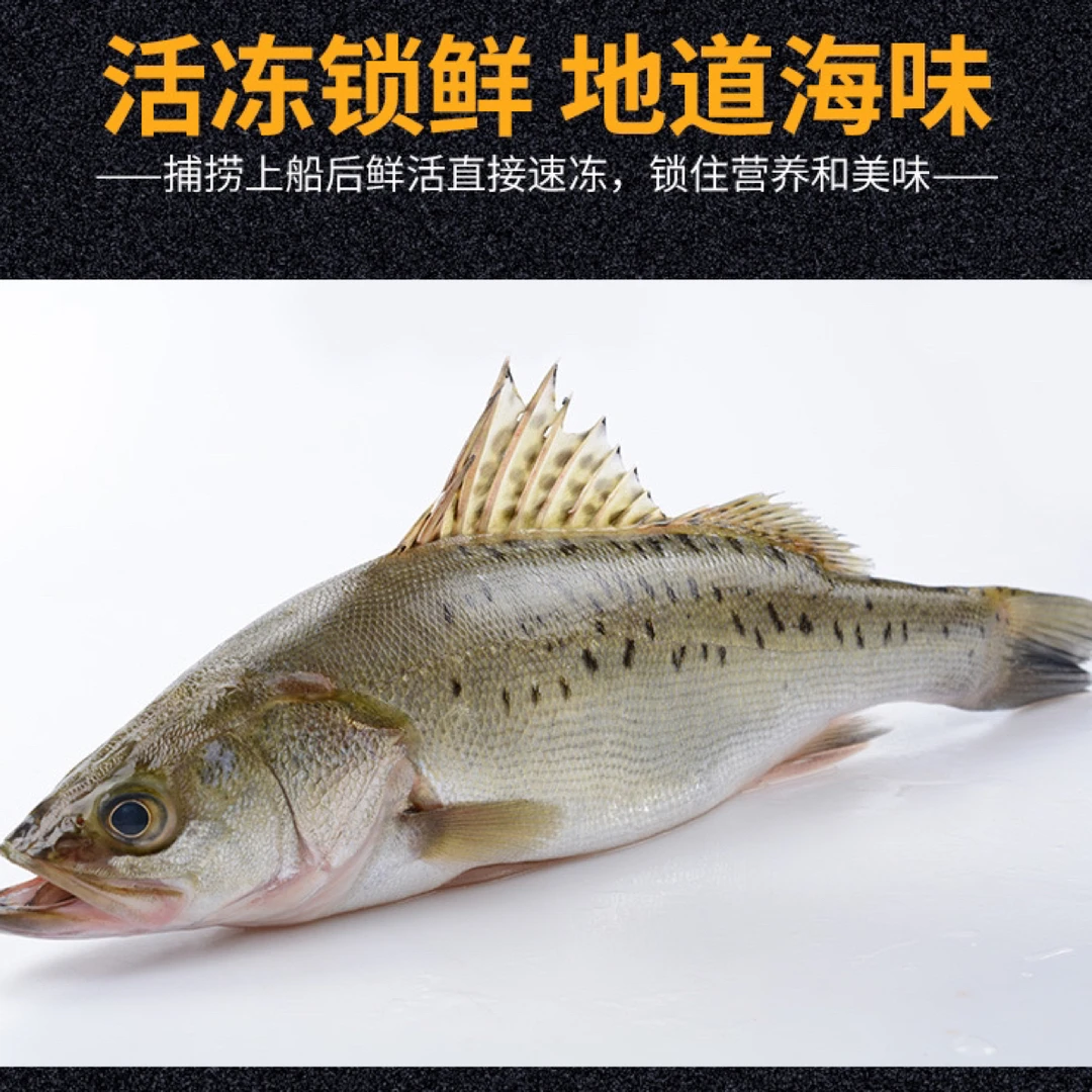 4条±400g/条新鲜海鲈鲈鱼鲜活冷冻野生深海大鲈鱼水产海鲜深海鱼