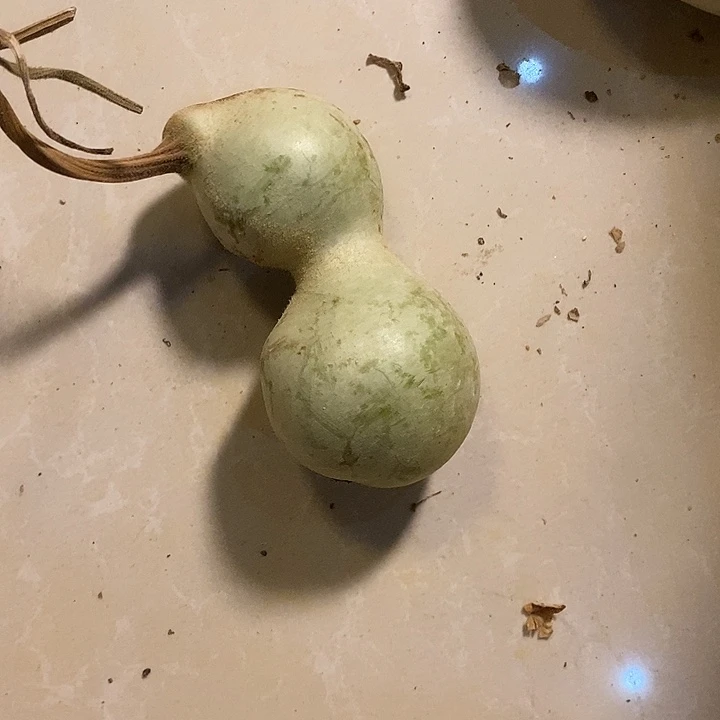 用***3青皮腰子葫芦手把件