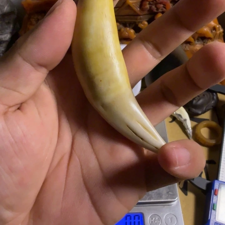 珍藏收藏专拍链接