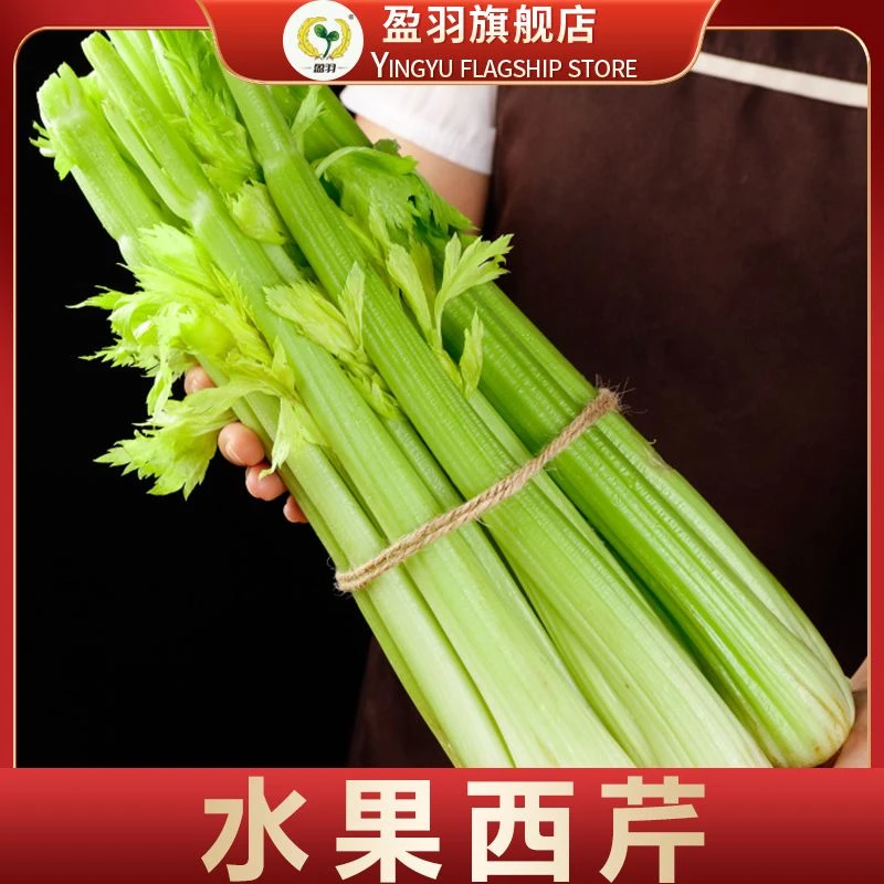 【盈羽】山东寿光水果西芹5斤装（2-4根）