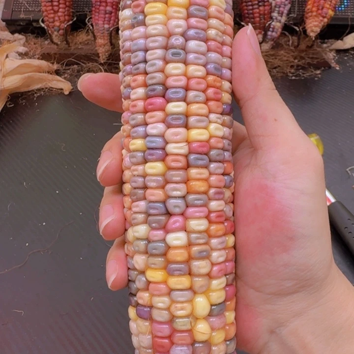 ᯓ***⁺柏香籽/百香籽吊坠