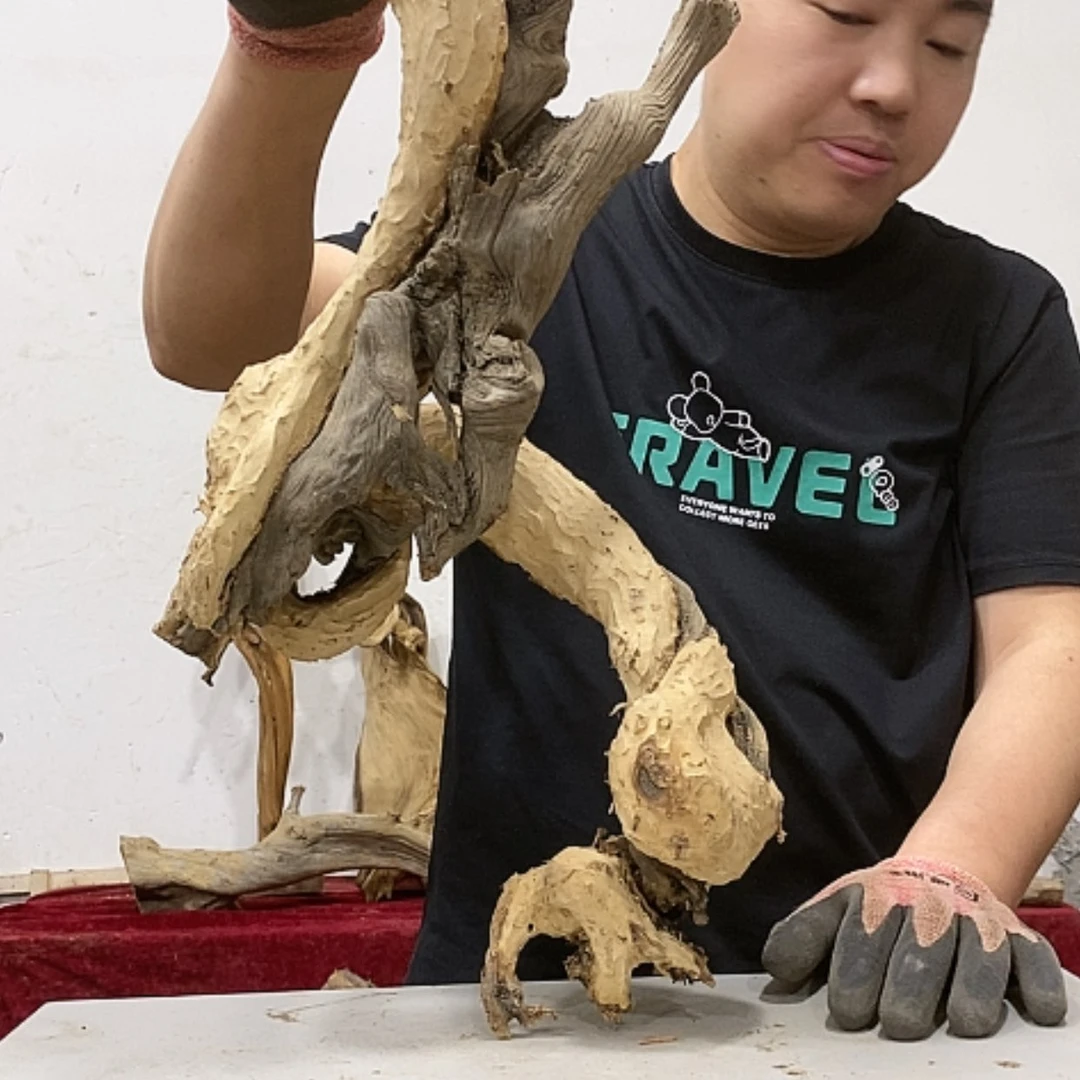 【闪购商品】柏木用****8我们都是好孩子