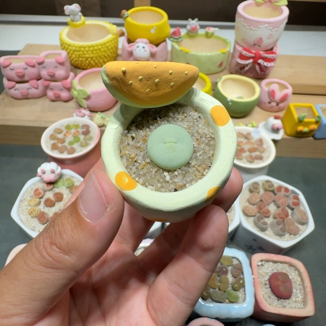 蘑菇233小红嘴小红嘴