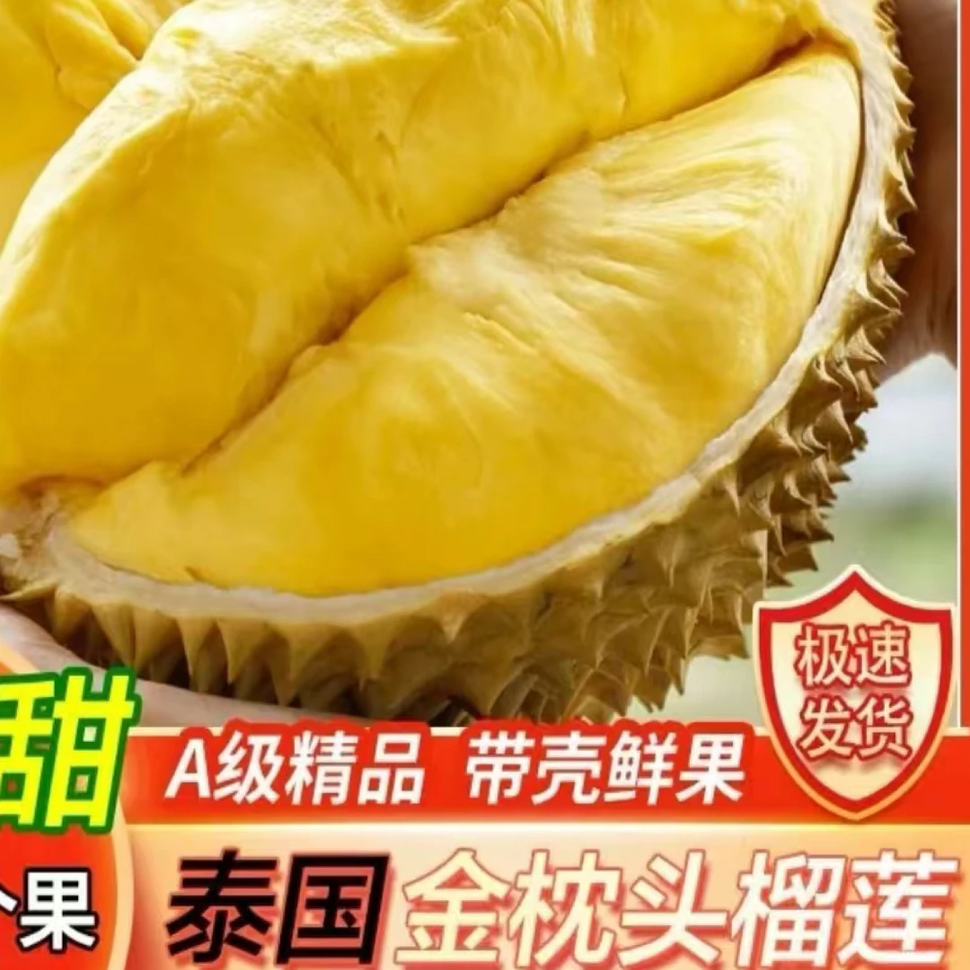 【双11特惠】手挑泰国金枕树熟新鲜榴莲1.8斤纯肉（核小肉多） 现在拍 一会到！（可自提）金枕泰国