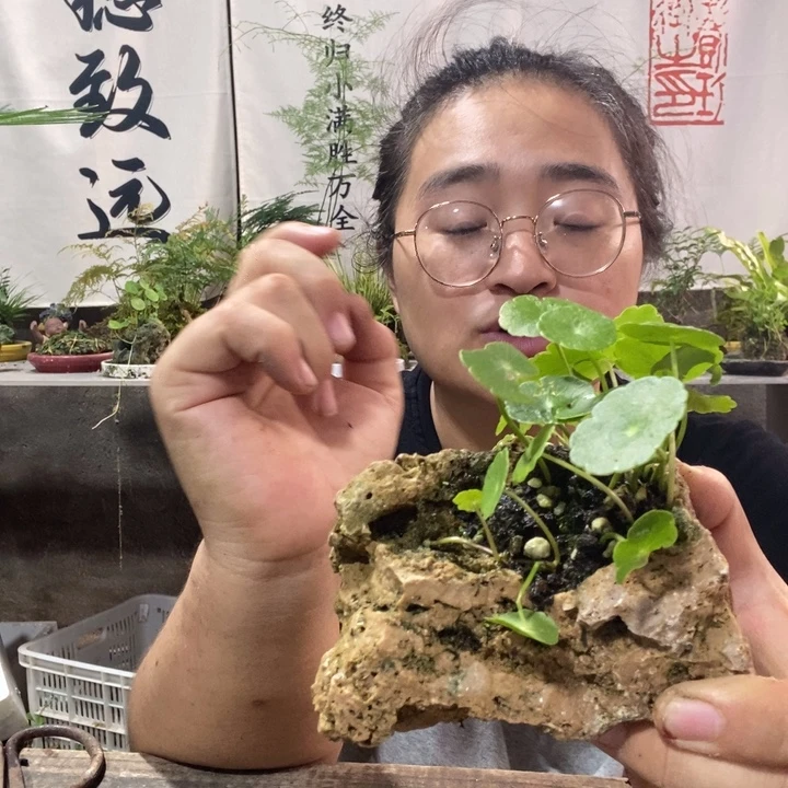 刘***芳无花朵一物一拍168