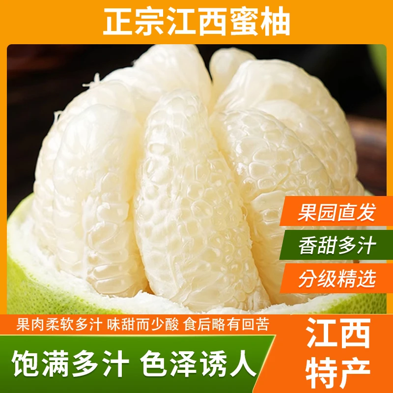 江西蜜柚金沙柚金兰柚安福蚕子现摘现发当季水果新鲜皮薄脆甜多汁