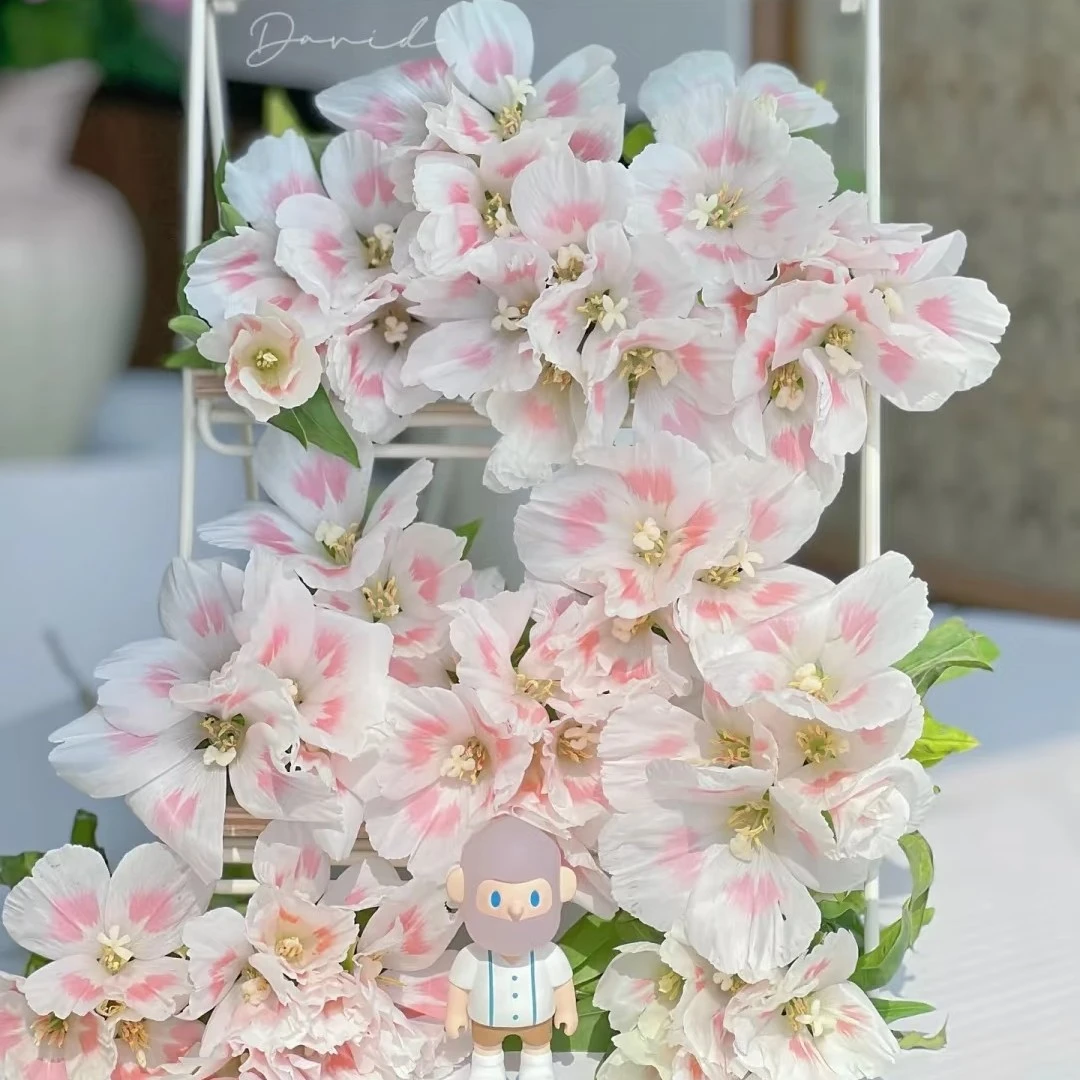 【古代稀、麦仙翁】绸缎光泽治愈系鲜切花（店内任意三单包邮）