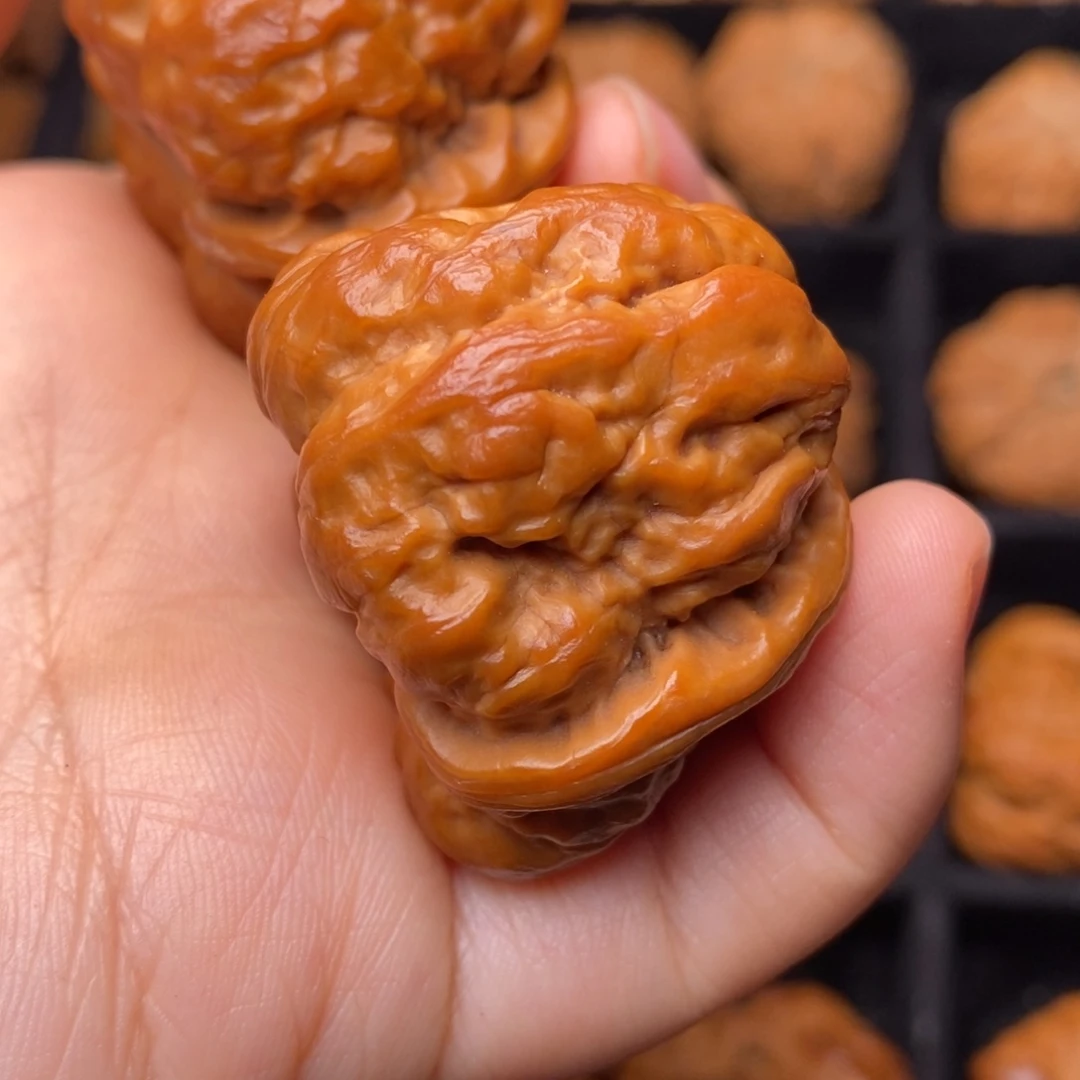 秦岭野生文玩核桃