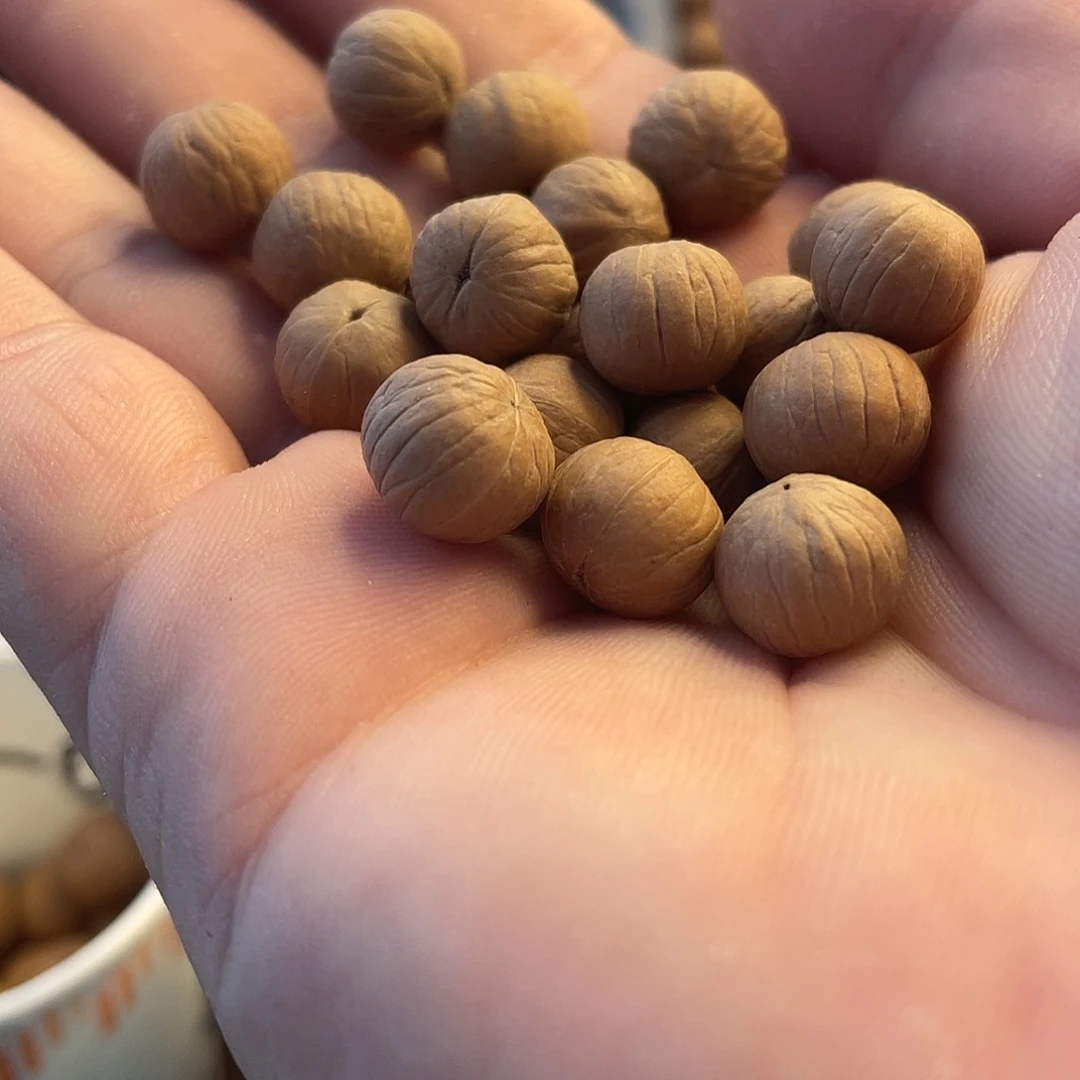 ****猴头核桃手串猴头南瓜手持