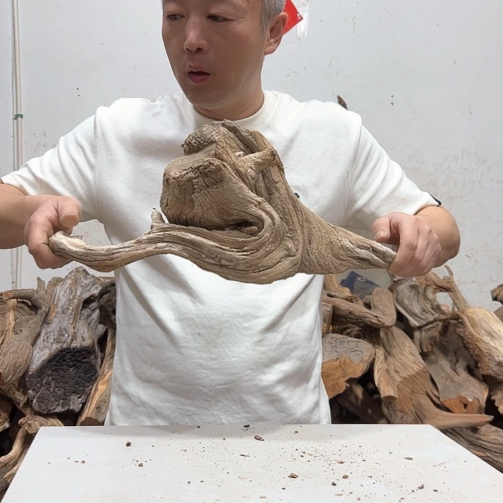 柏木用***团我们的生活也是如此的丰富多彩