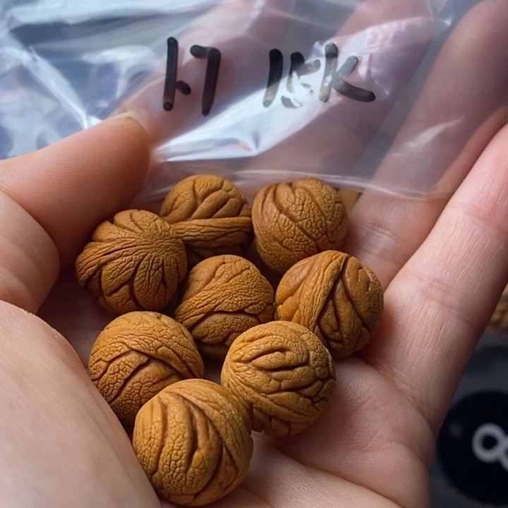 手串文玩核桃秦岭野生龙纹桃核17