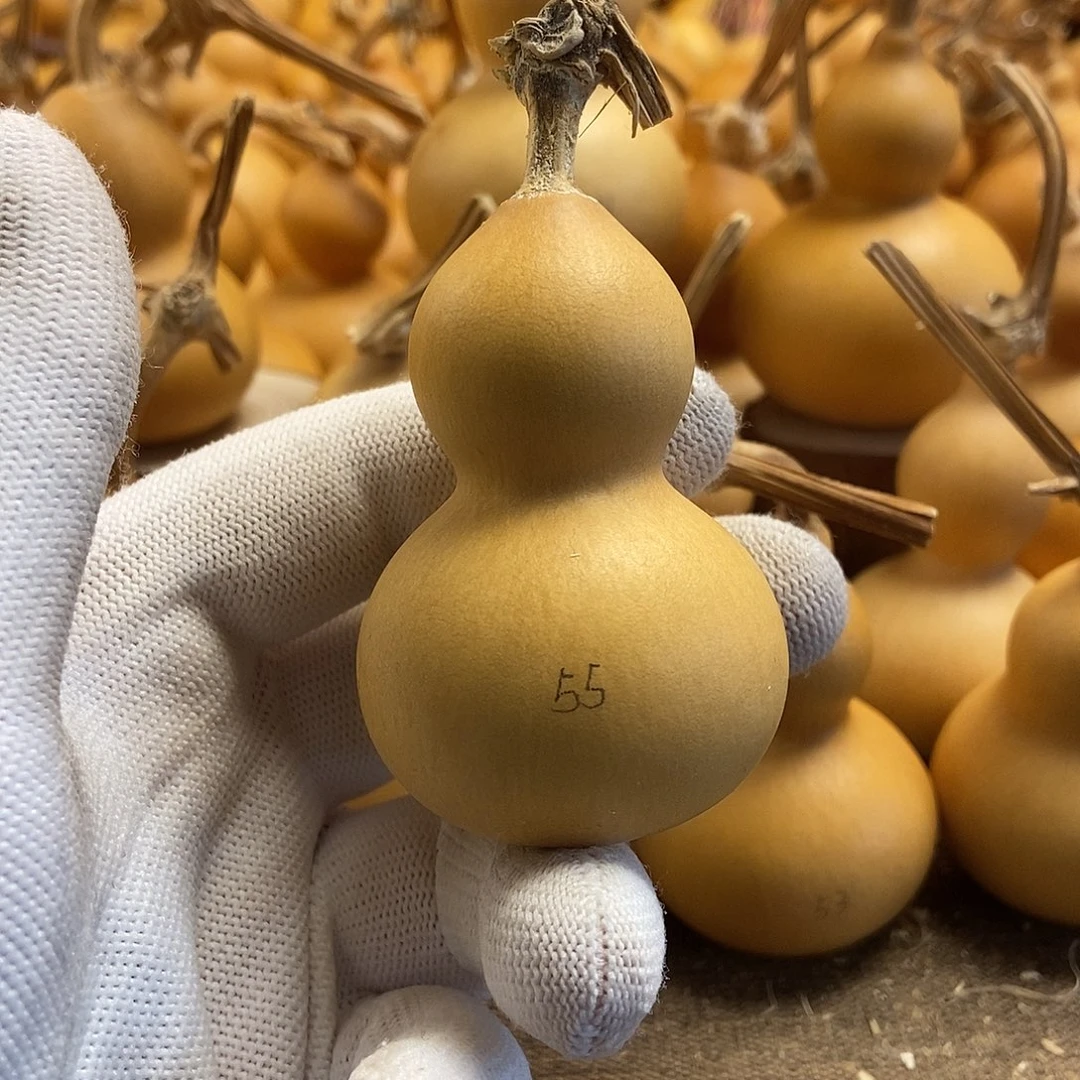 文玩葫芦 完美主义者 慎拍55