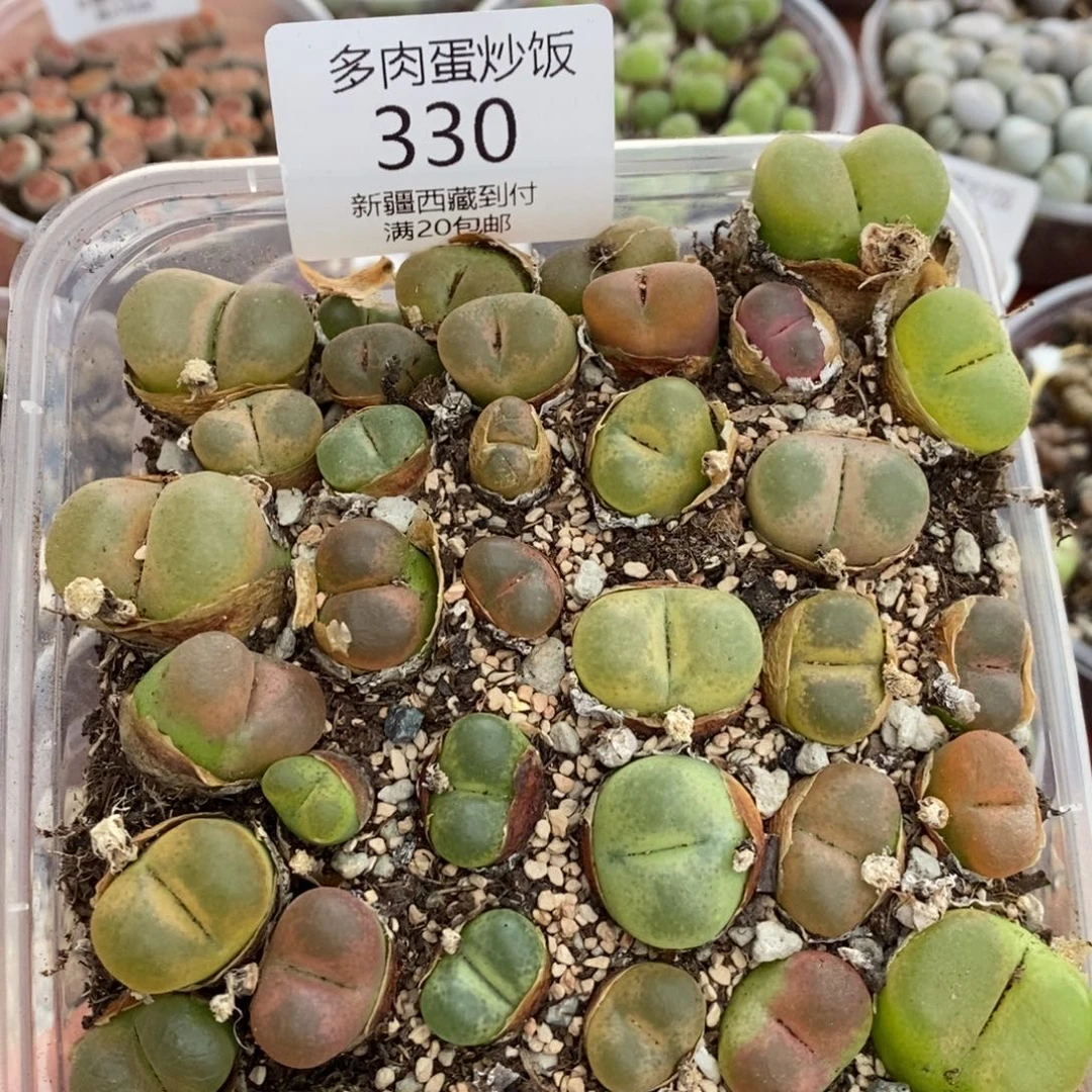 感谢您的光临，000330