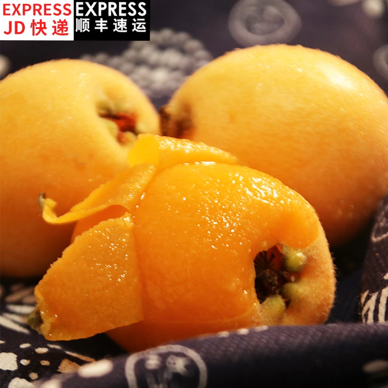 【奇幻果园】四川大五星枇杷3斤