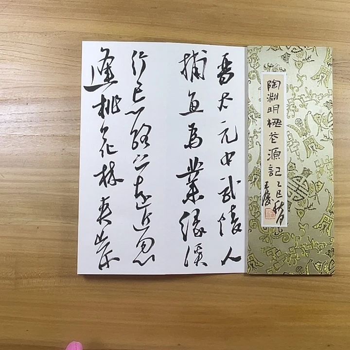 书法中书协老师作品