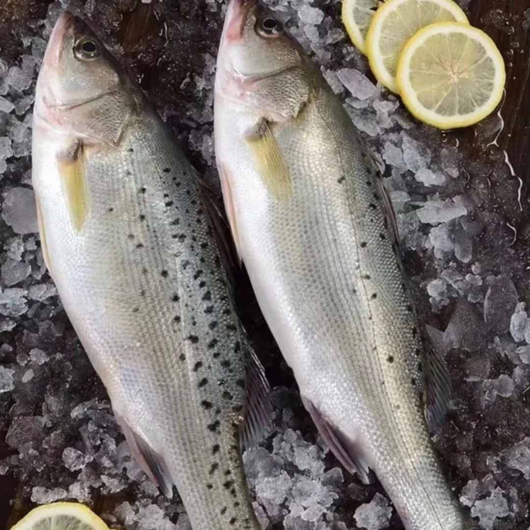 鲈鱼（5斤共7-8条鱼）速冻后发货