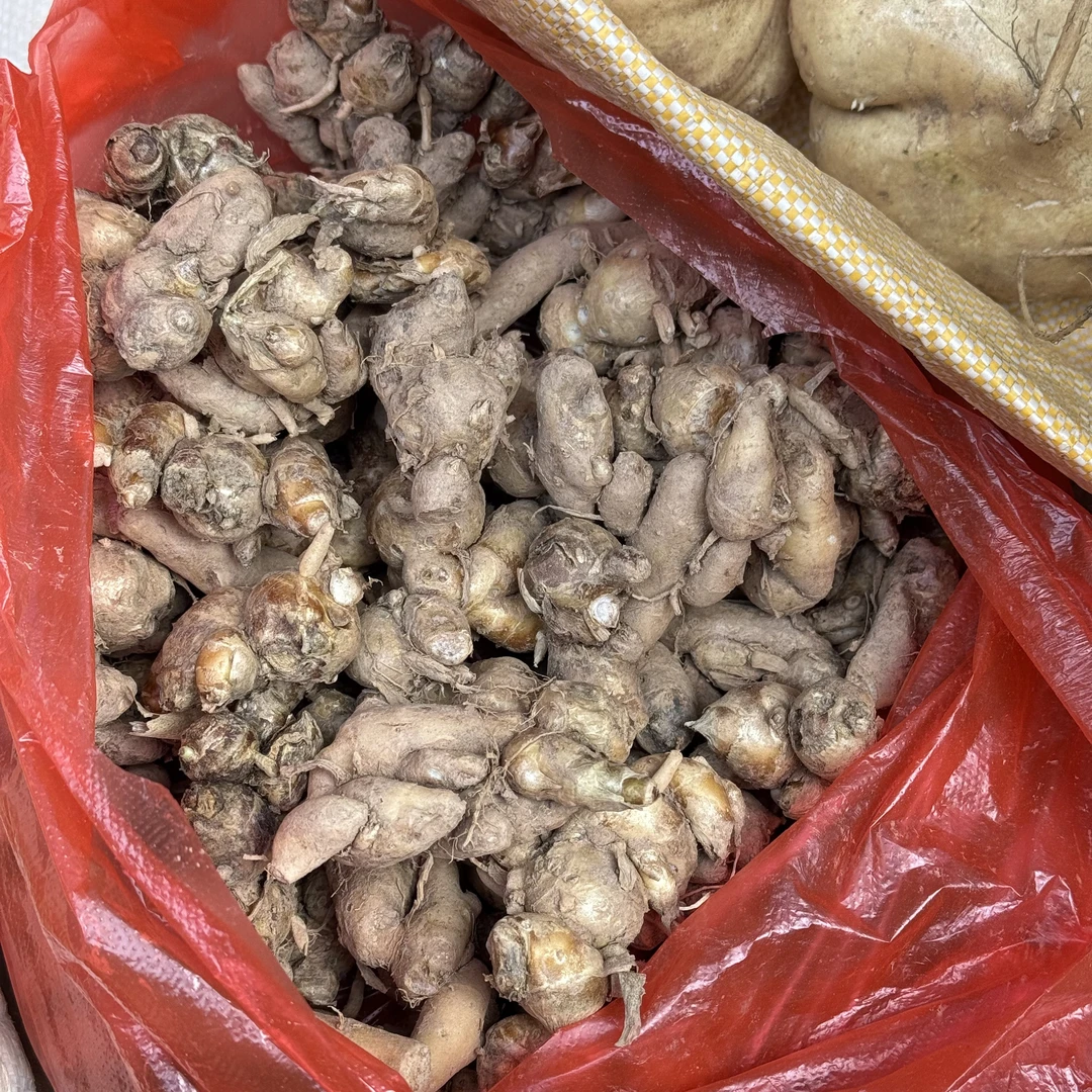 【袋装】农家沙姜个头饱满香气纯正