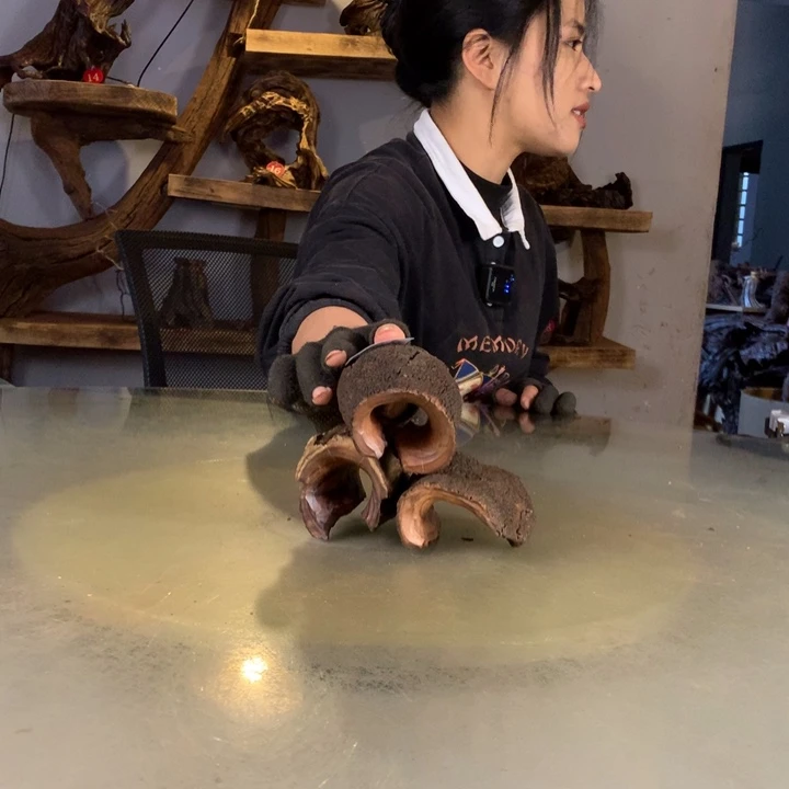 科***恩天然的云南紫柚木会黄水