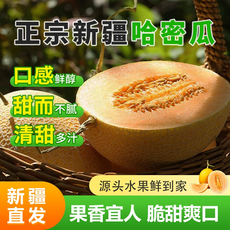 【铎亦专场福利】新疆速运直发金色年华哈密瓜现摘现发脆甜爆汁