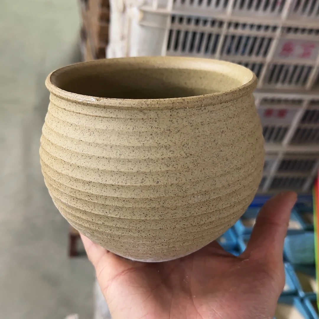 福利局绿植多肉盆［凑9元包邮24小时发］