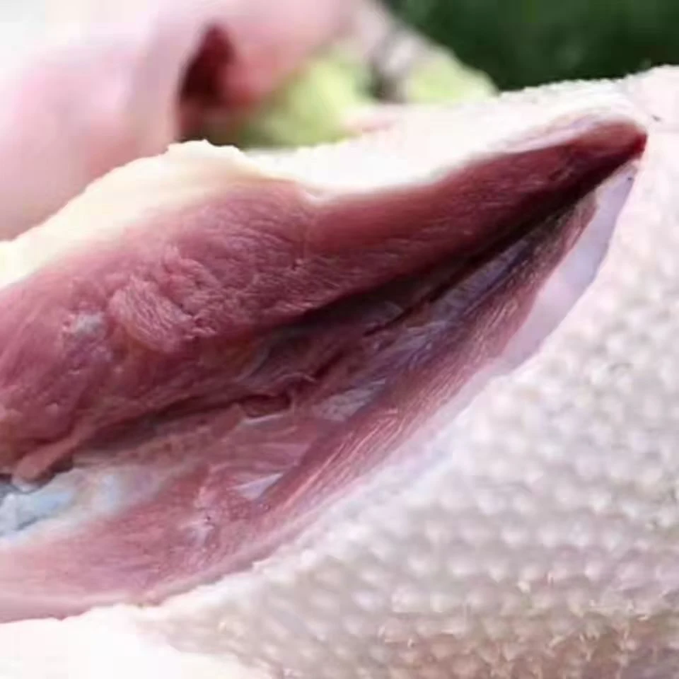 【顺丰/京东包邮】散养大雁鹅单只净重4.5-5斤带掌、带翅、带心肝Z