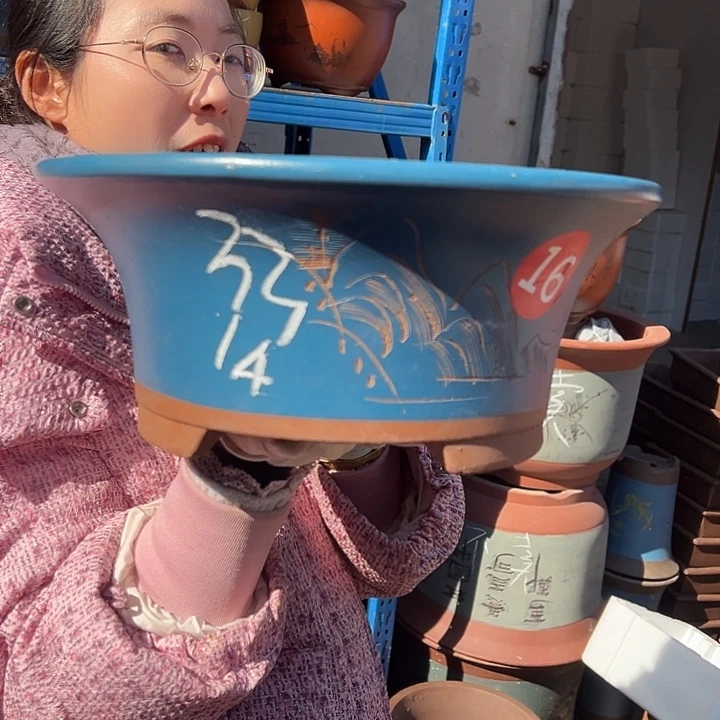 33蓝票口花盆花盆