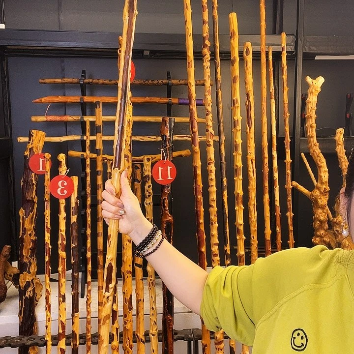 五*好好好好好好好好