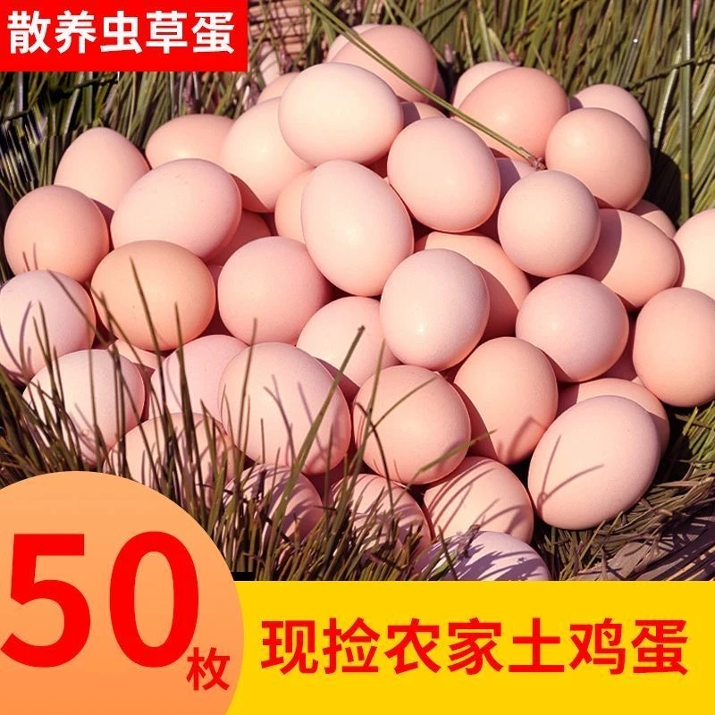 山林散养土鸡蛋50枚新鲜营养健康谷物喂养孕妇月子