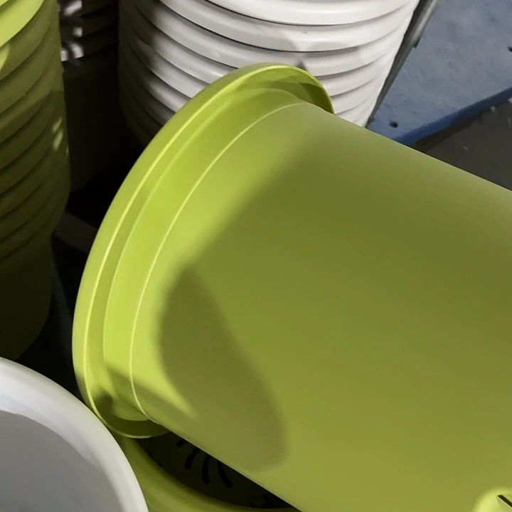 四季9号果绿带托2套