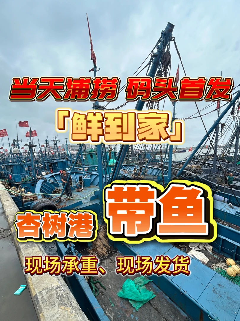 【带鱼】大连杏树屯特产精品【带鱼】刚下船以展示为主（顺丰包邮）